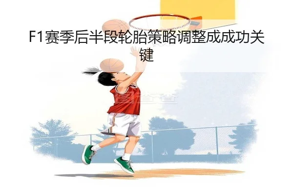 F1赛季后半段轮胎策略调整成成功关键
